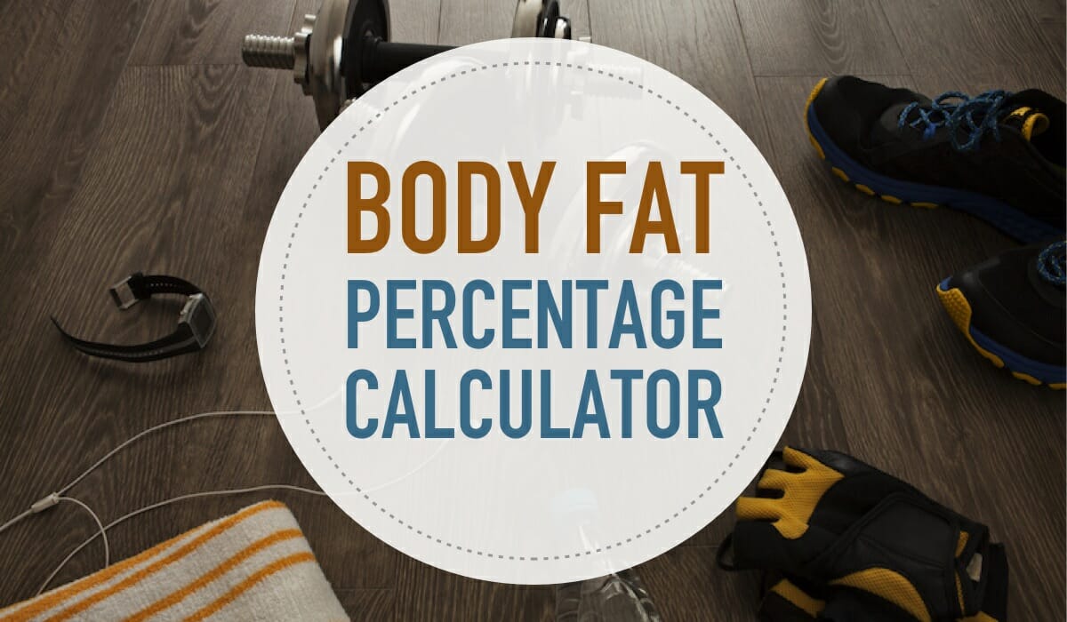 Body fat percentage calculator