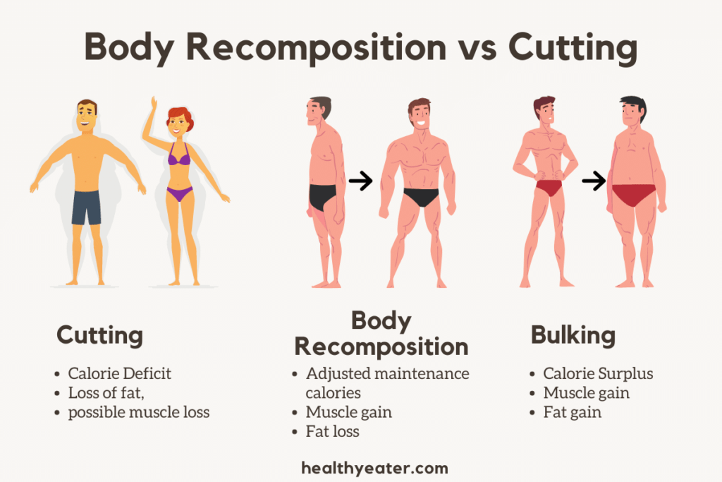Body recomposition vs bulking and cutting